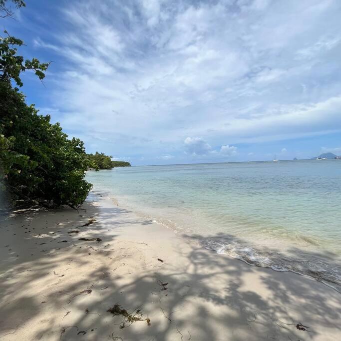 Studio La «Kaz' A Coco» Anse Caritan Sainte-Anne Eksteriør bilde