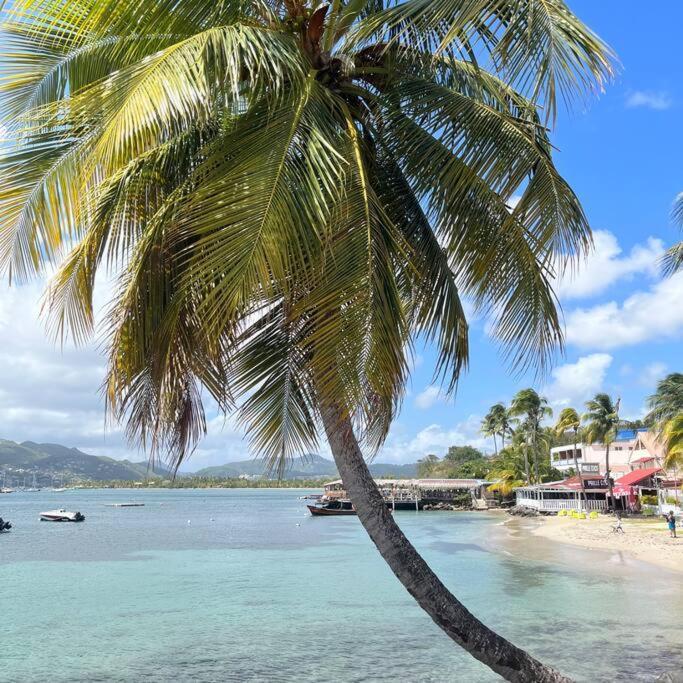 Studio La «Kaz' A Coco» Anse Caritan Sainte-Anne Eksteriør bilde
